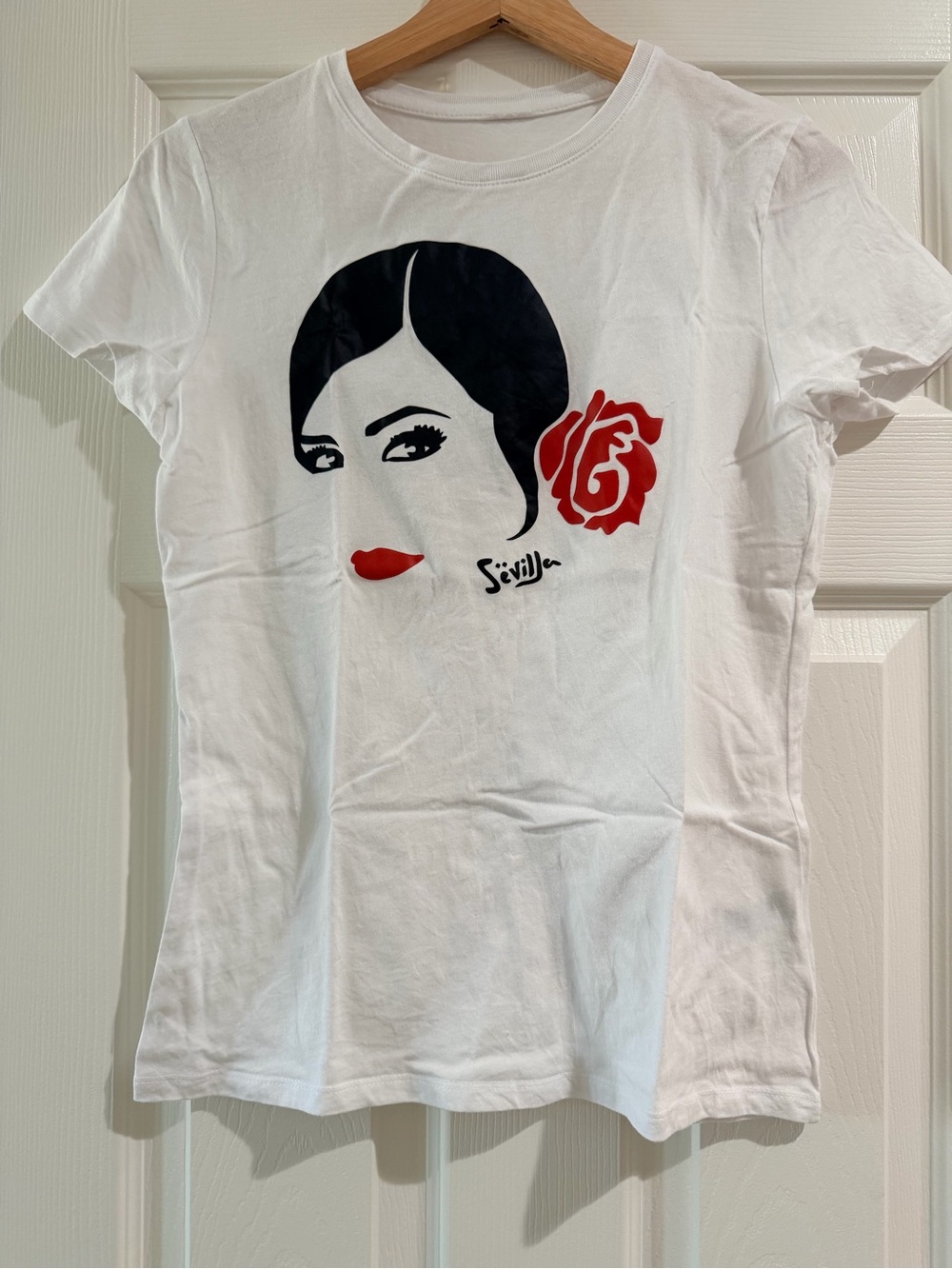Spanish flamenco dancer